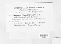 Image Associated With the Occurence